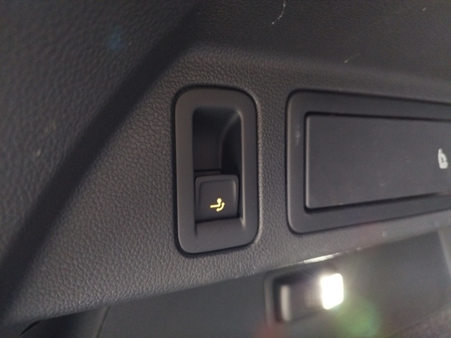 Tiguan R line 2.0 TSI 4M DSG IQ.Light/AHK/Black/