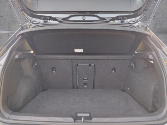 Golf VIII GTD 2.0 TDI DSG BusinessPrem./BlackSty