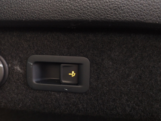 Passat Variant Business 2.0 TDI DSG BusinessPrem