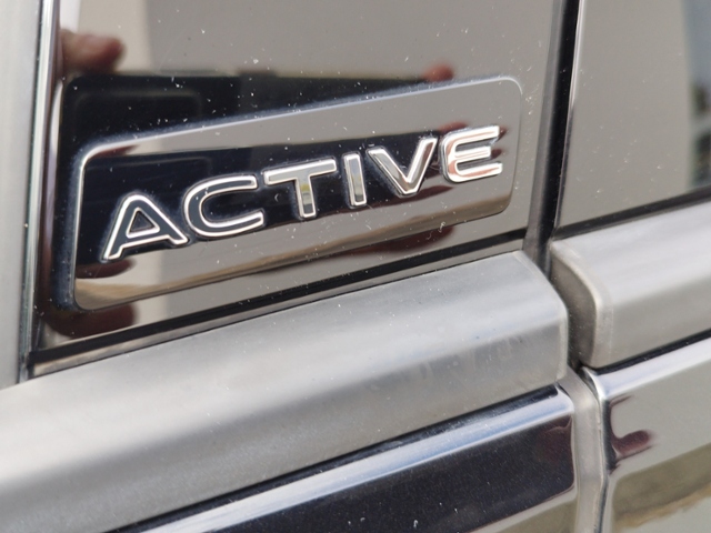 Golf VIII Active 2.0 TDI DSG HUD/ACC/PANO KLIMA 