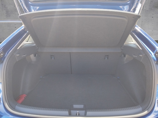 Taigo GOAL 1,0 l TSI OPF 85 kW (116 PS) 7-Gang-D